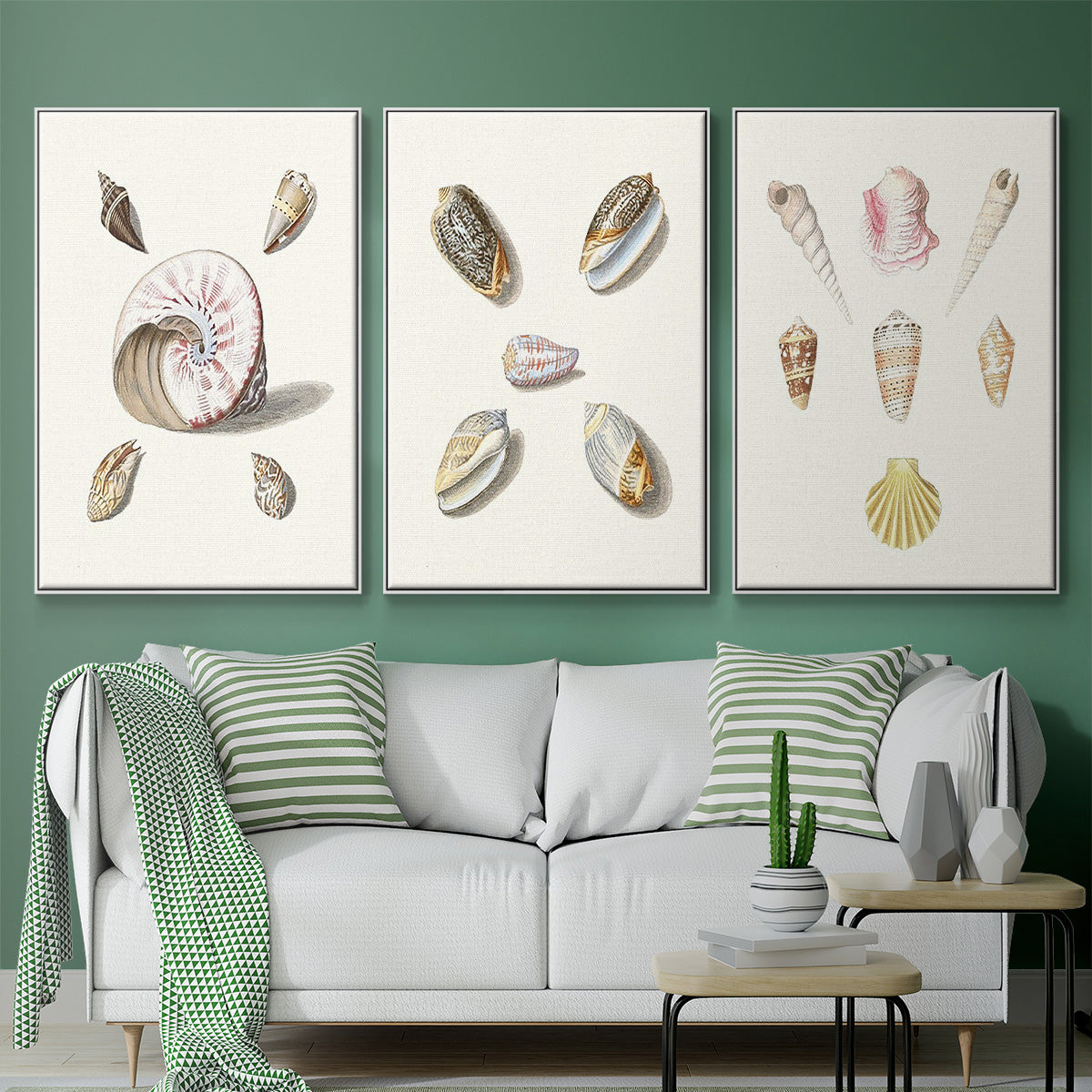 Pastel Knorr Shells I - Floater Framed Canvas Set