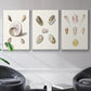 Pastel Knorr Shells I - Floater Framed Canvas Set