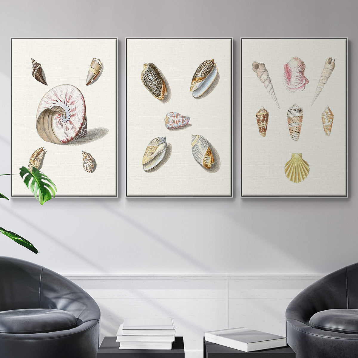 Pastel Knorr Shells I - Floater Framed Canvas Set