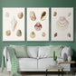Pastel Knorr Shells IV - Floater Framed Canvas Set