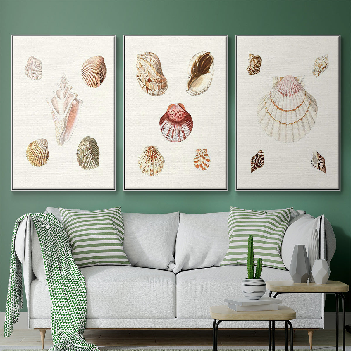Pastel Knorr Shells IV - Floater Framed Canvas Set