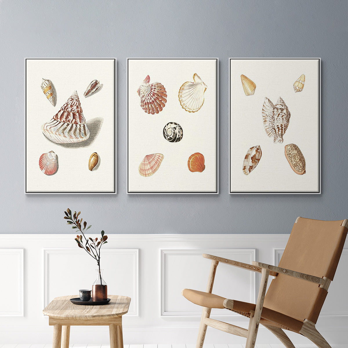 Pastel Knorr Shells VI - Floater Framed Canvas Set