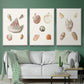 Pastel Knorr Shells VI - Floater Framed Canvas Set