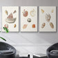 Pastel Knorr Shells VI - Floater Framed Canvas Set
