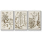 Sepia Botanical Journal IV - Floater Framed Canvas Set