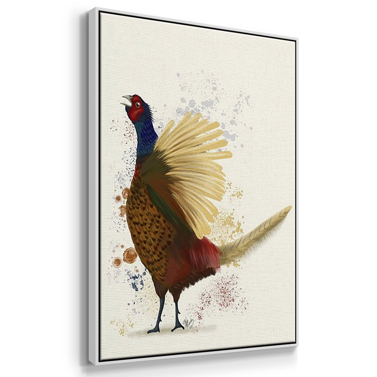 Pheasant Splash 3 - Floater Framed Canvas Set