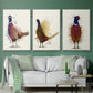 Pheasant Splash 3 - Floater Framed Canvas Set