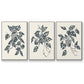 Growing Leaves I - Floater Framed Canvas Set