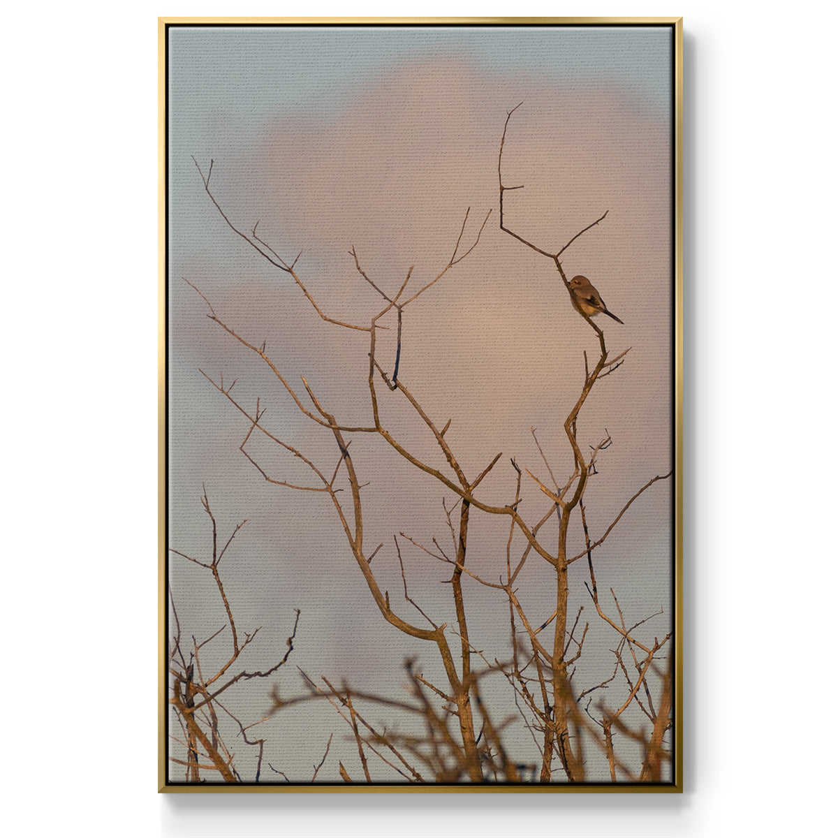 At Dawn - Floater Framed Canvas Print