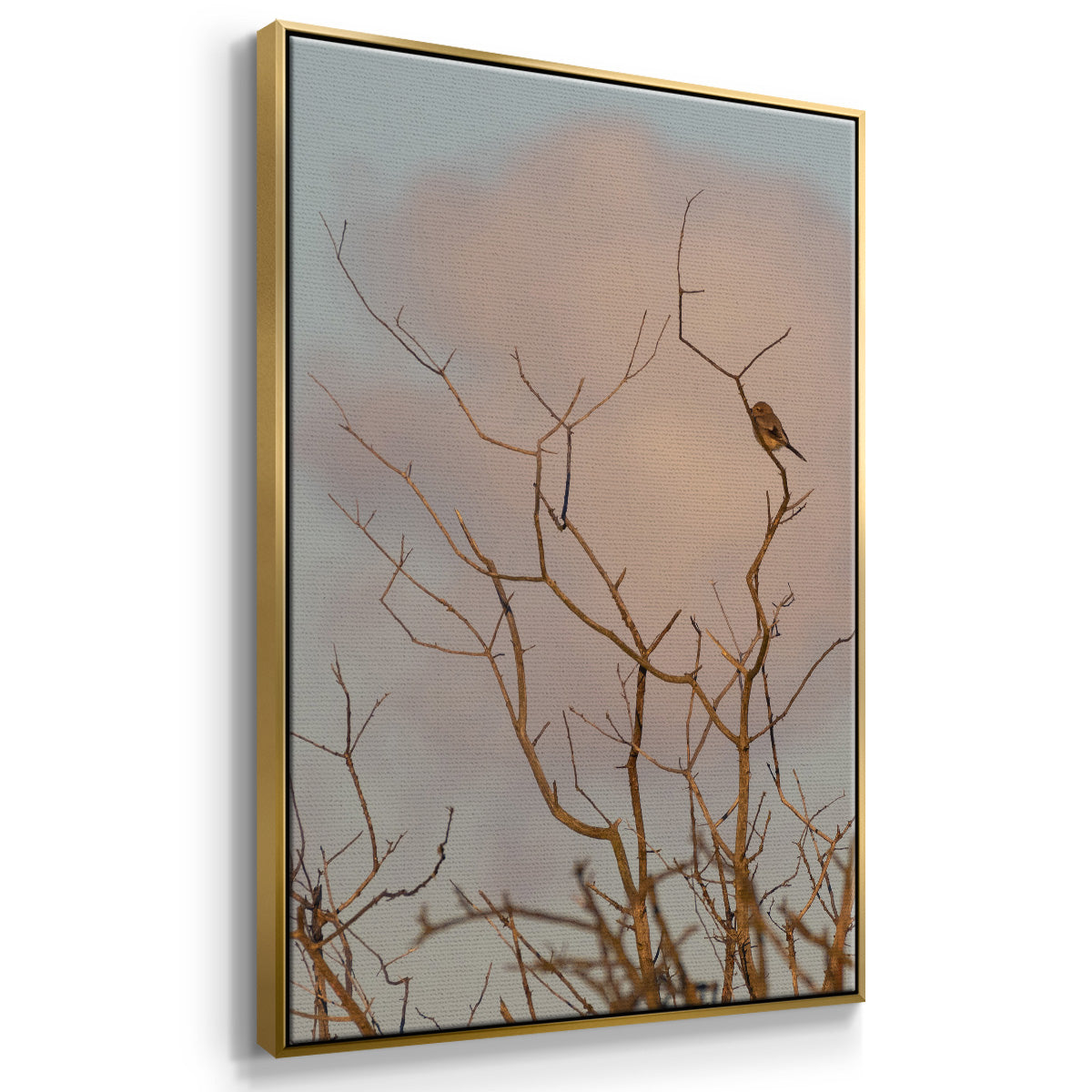 At Dawn - Floater Framed Canvas Print