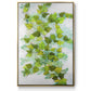 Ivy - Floater Framed Canvas Print