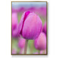 Magenta Stem - Floater Framed Canvas Print