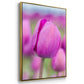 Magenta Stem - Floater Framed Canvas Print