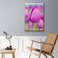 Magenta Stem - Floater Framed Canvas Print