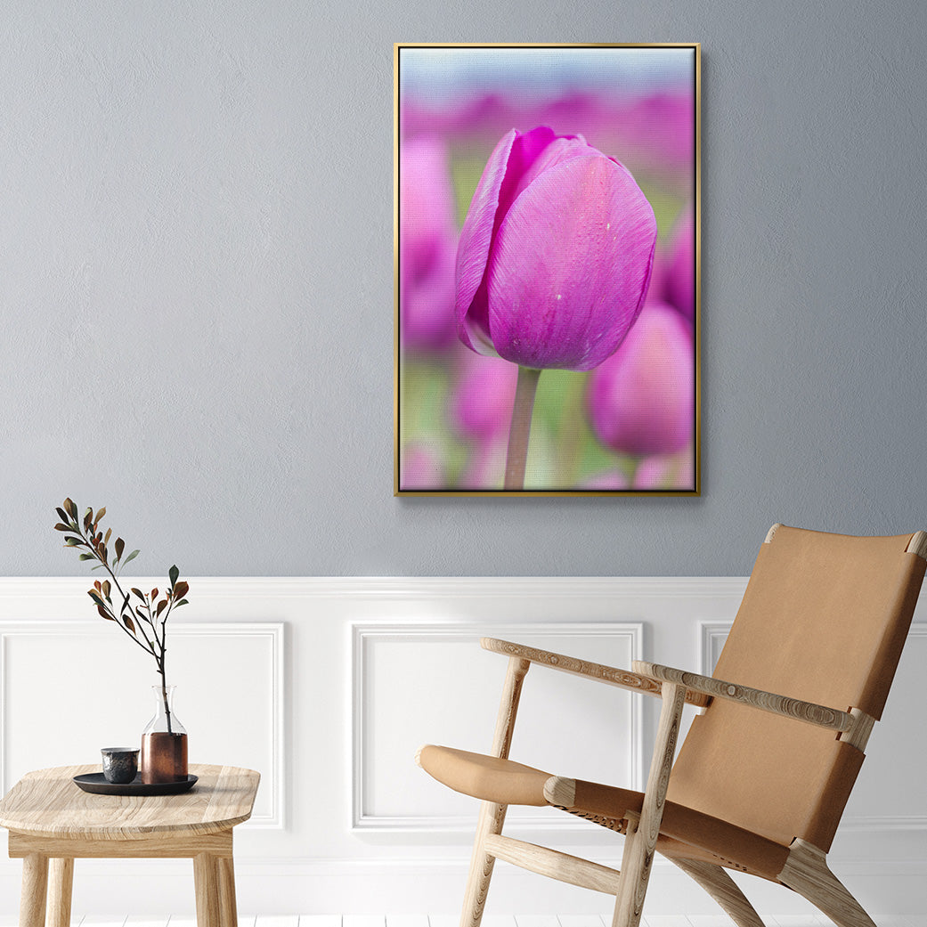 Magenta Stem - Floater Framed Canvas Print