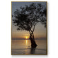 Sunset Silhouette - Floater Framed Canvas Print