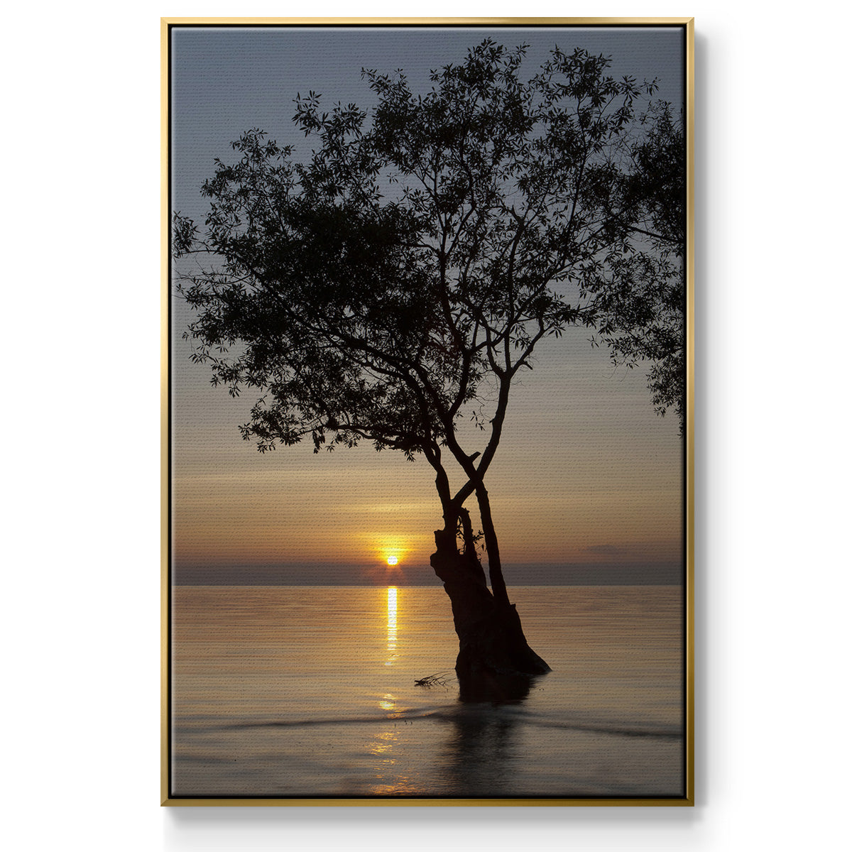 Sunset Silhouette - Floater Framed Canvas Print