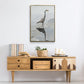 Heron - Floater Framed Canvas Print