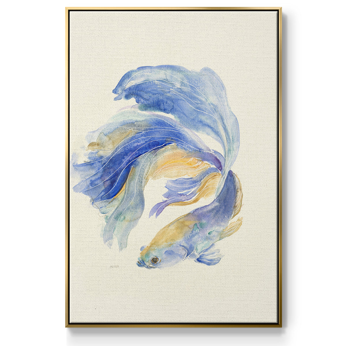 Betta II - Floater Framed Canvas Print