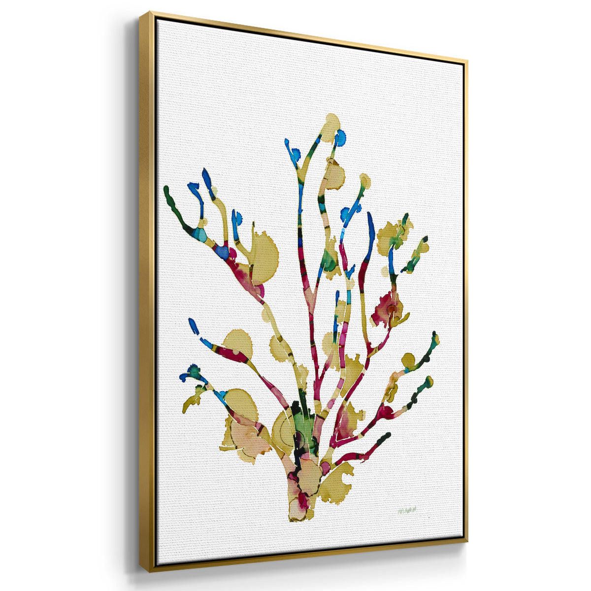 Sea Coral III - Floater Framed Canvas Print