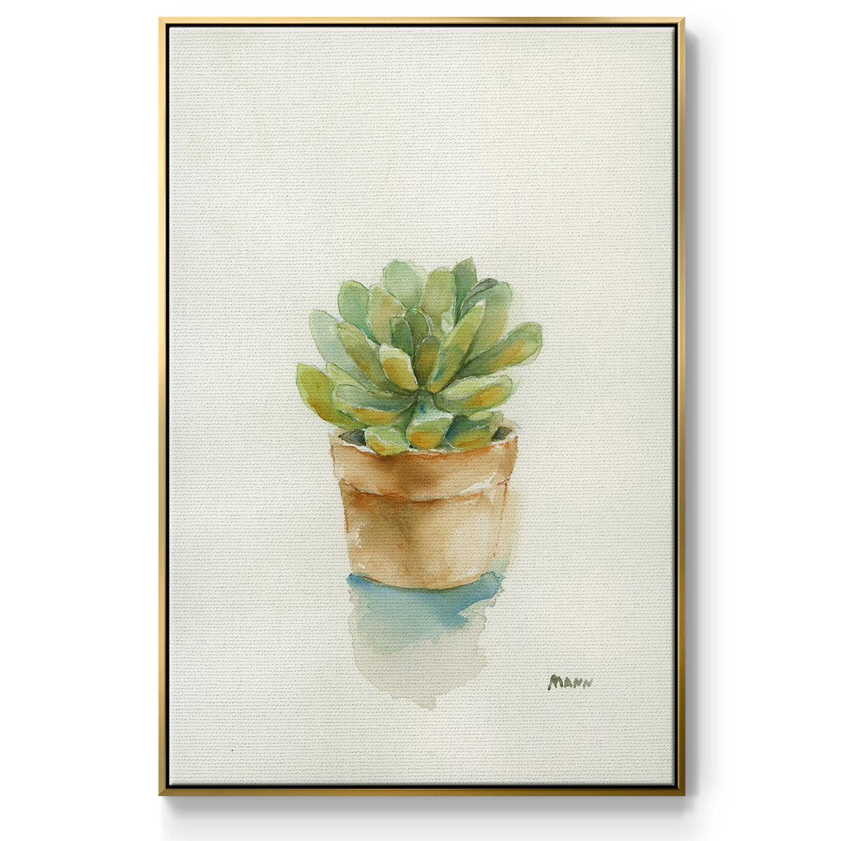 Succulent II - Floater Framed Canvas Print