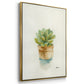 Succulent II - Floater Framed Canvas Print