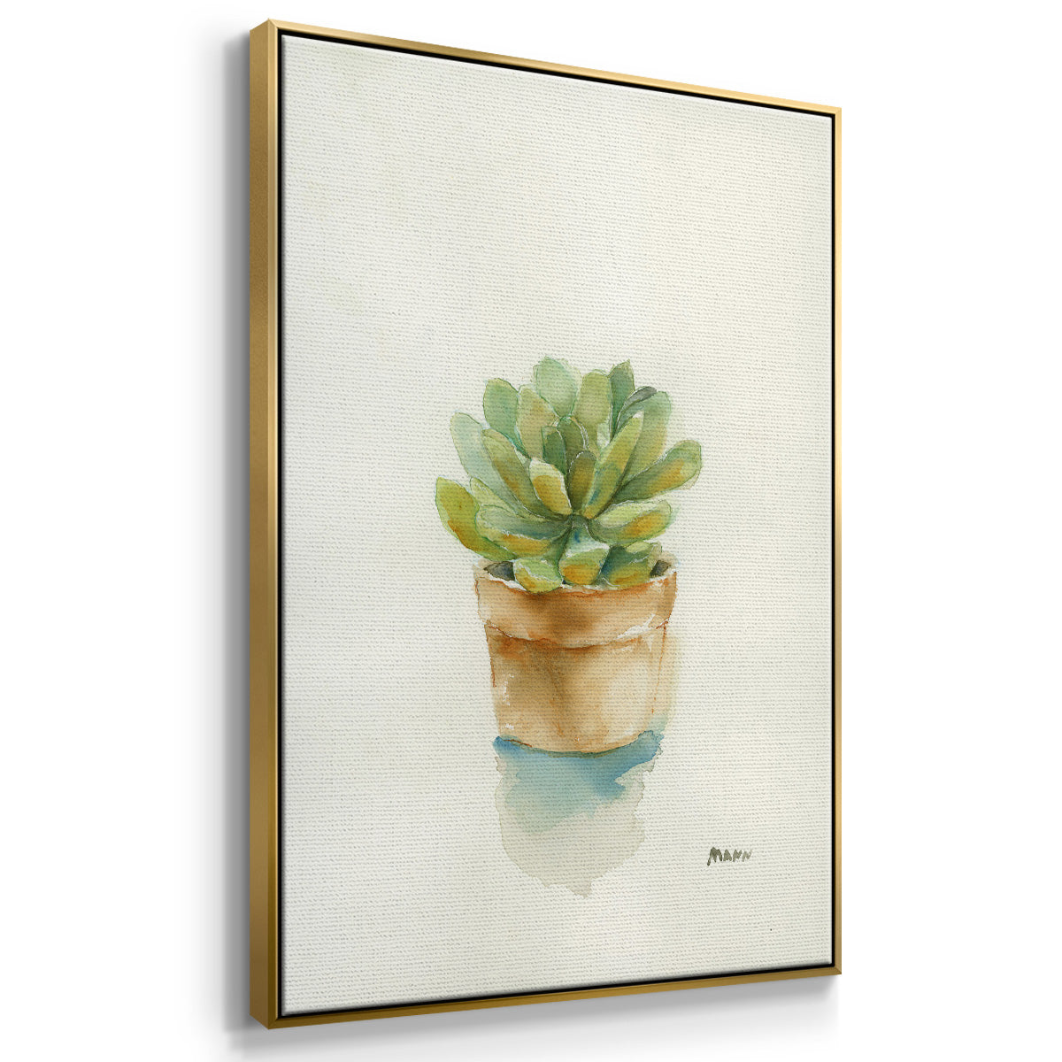 Succulent II - Floater Framed Canvas Print