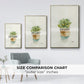 Succulent II - Floater Framed Canvas Print
