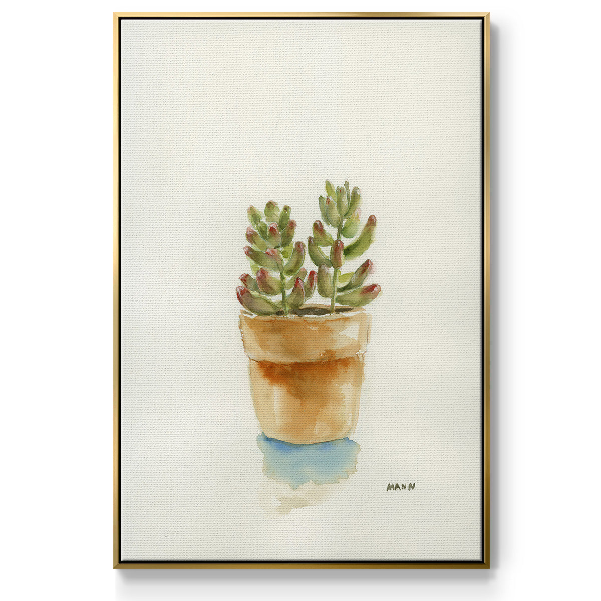 Succulent III - Floater Framed Canvas Print