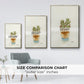 Succulent III - Floater Framed Canvas Print