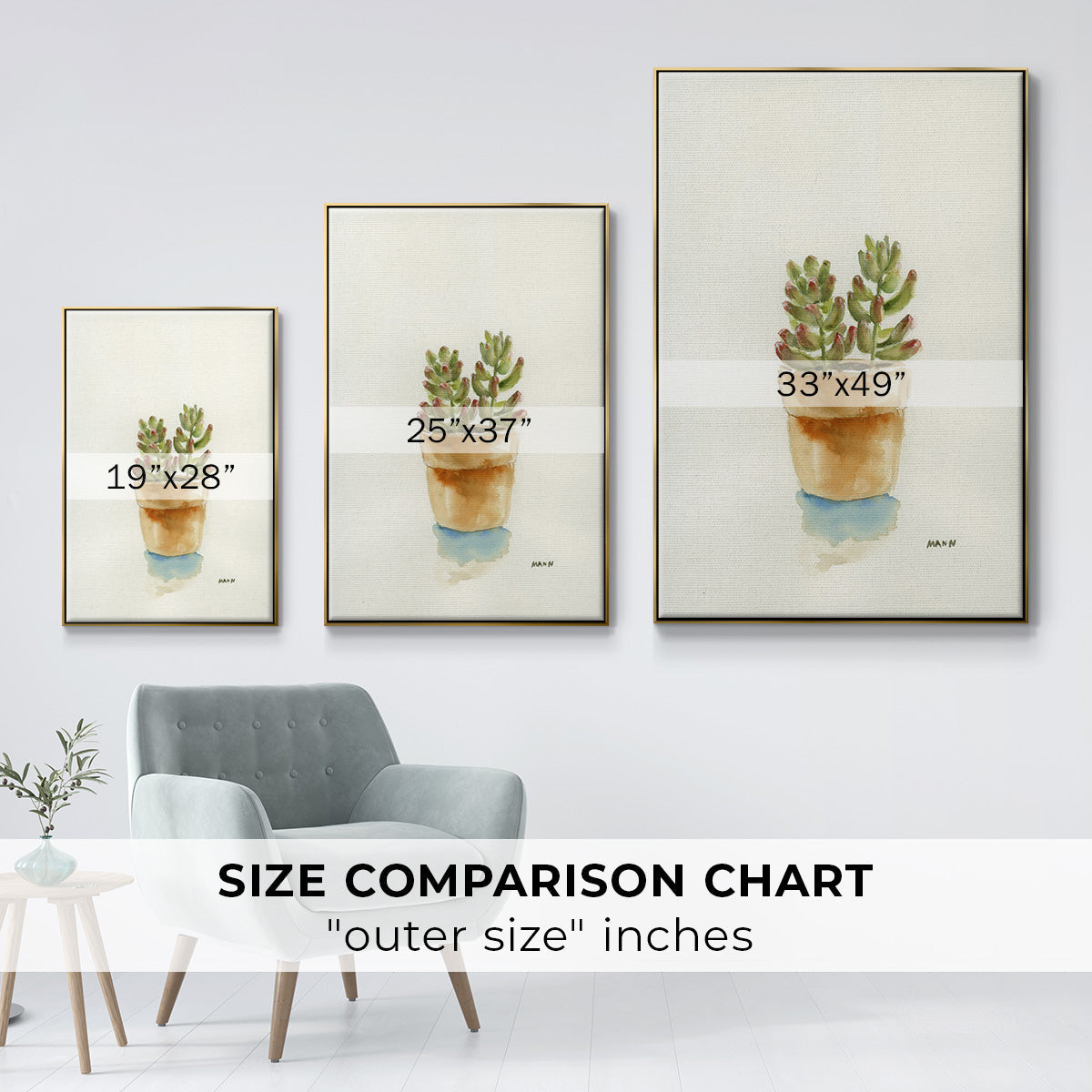 Succulent III - Floater Framed Canvas Print