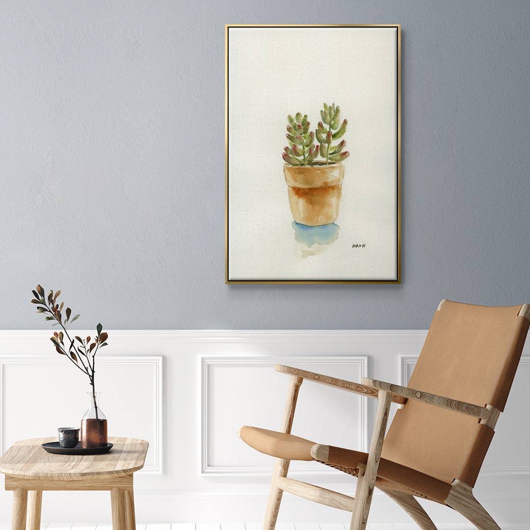 Succulent III - Floater Framed Canvas Print