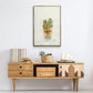 Succulent III - Floater Framed Canvas Print