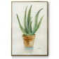Succulent IV - Floater Framed Canvas Print