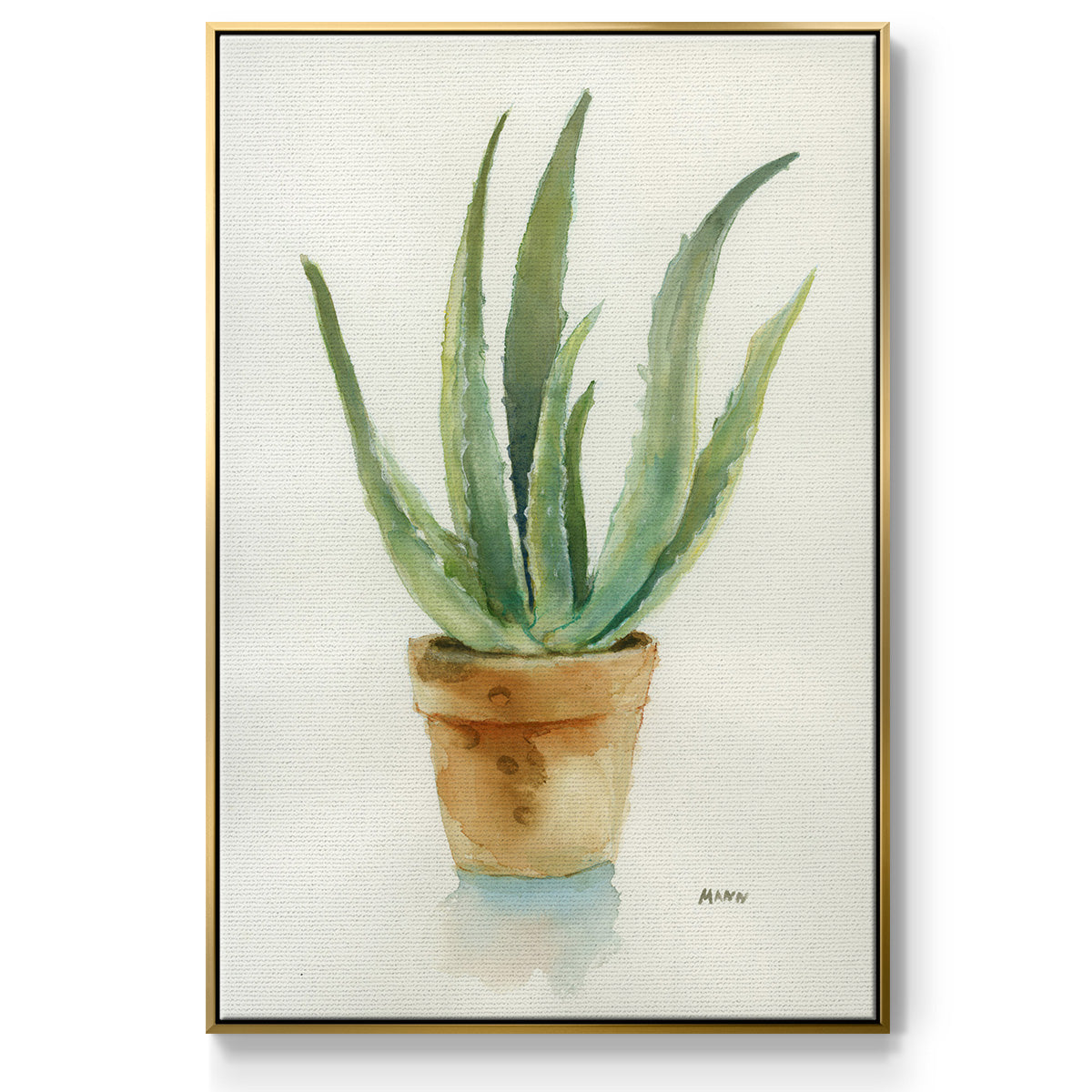 Succulent IV - Floater Framed Canvas Print