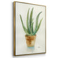 Succulent IV - Floater Framed Canvas Print