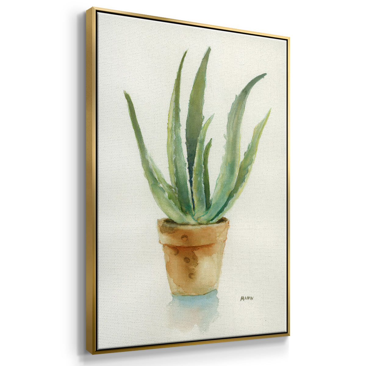 Succulent IV - Floater Framed Canvas Print