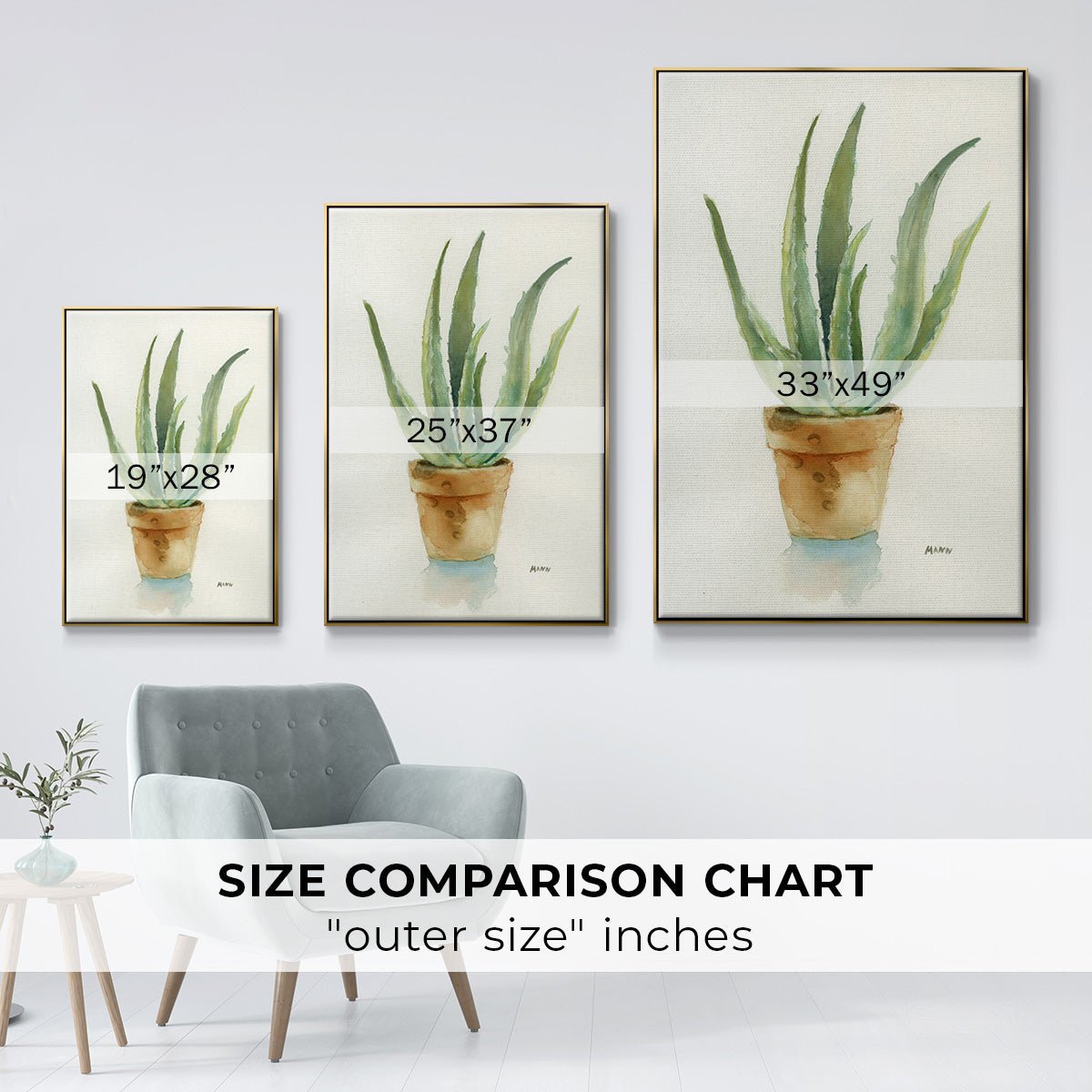 Succulent IV - Floater Framed Canvas Print