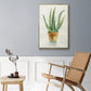 Succulent IV - Floater Framed Canvas Print