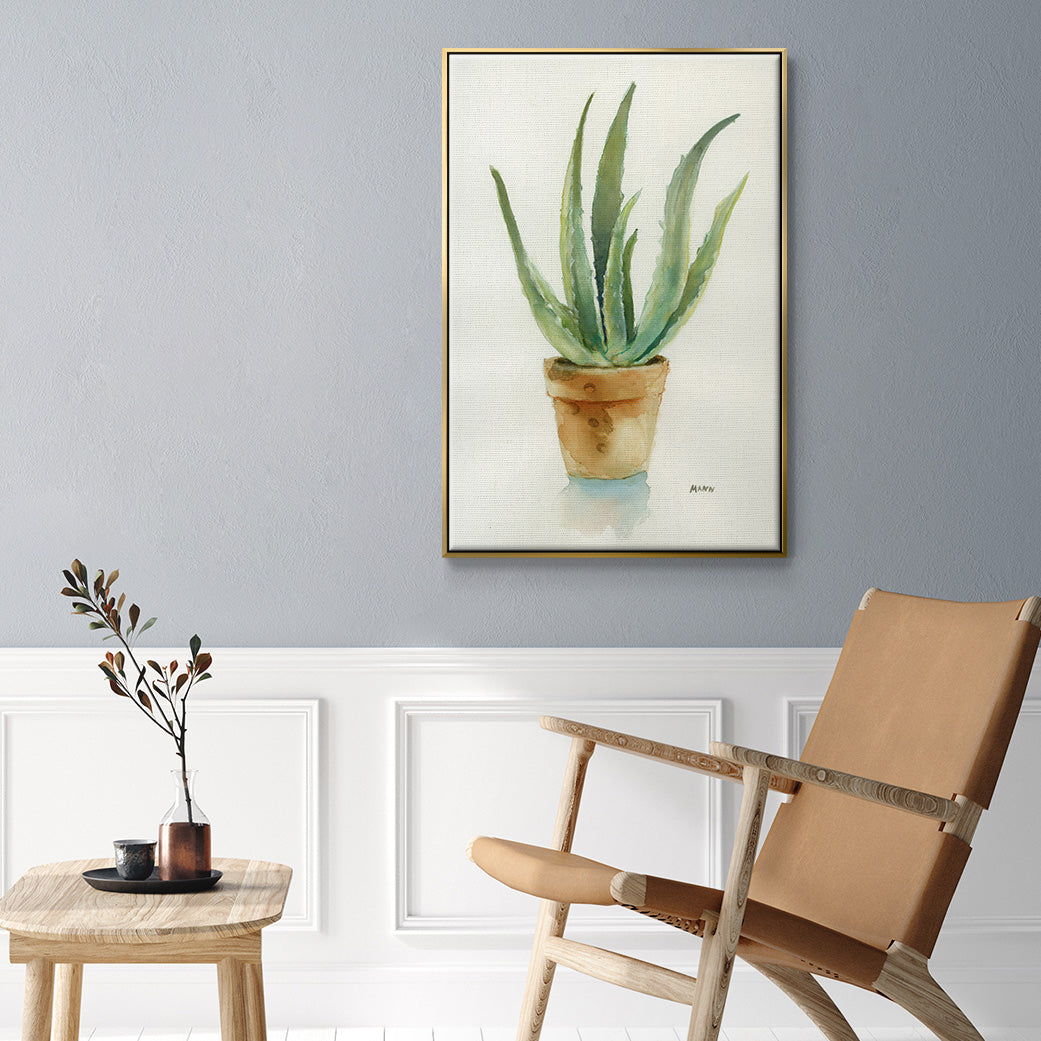 Succulent IV - Floater Framed Canvas Print