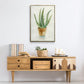 Succulent IV - Floater Framed Canvas Print