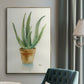 Succulent IV - Floater Framed Canvas Print