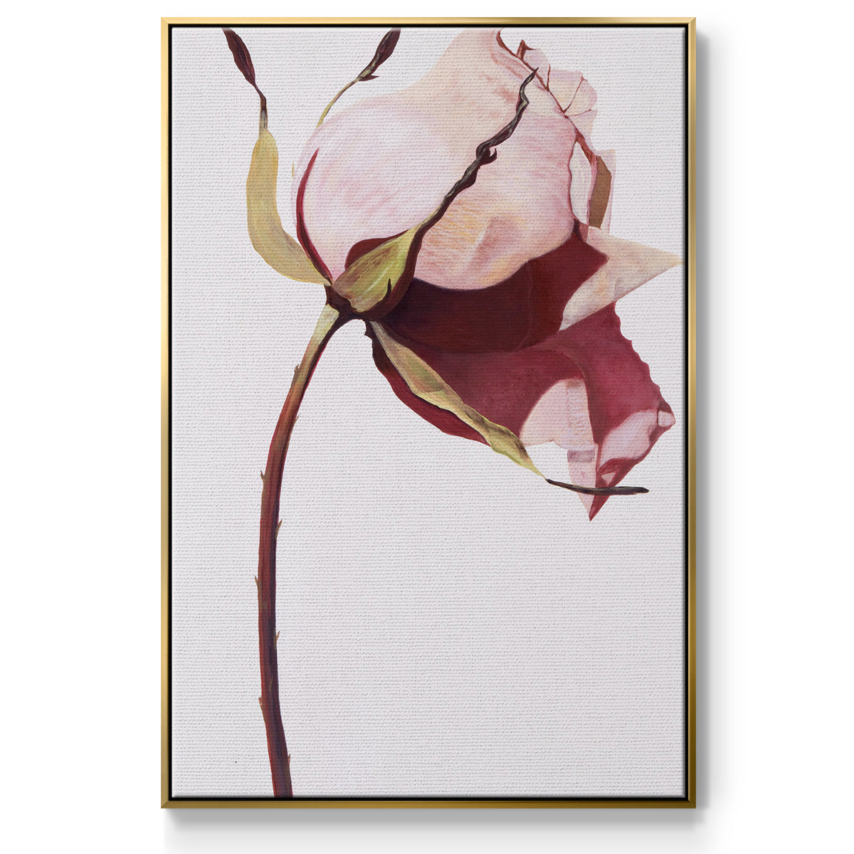 Love Is A Rose I - Floater Framed Canvas Print