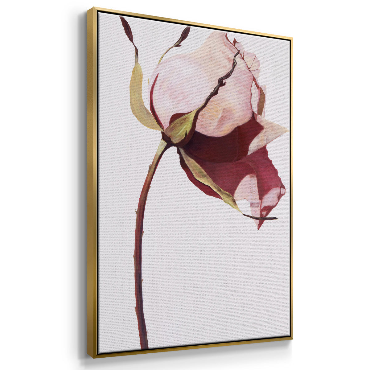 Love Is A Rose I - Floater Framed Canvas Print