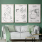 Toilet Paper Patent I - Floater Framed Canvas Set