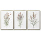 Dainty Botanical I - Floater Framed Canvas Set