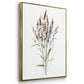 Dainty Botanical I - Floater Framed Canvas Set
