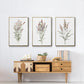 Dainty Botanical I - Floater Framed Canvas Set