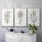 Dainty Botanical I - Floater Framed Canvas Set