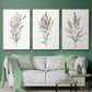 Dainty Botanical I - Floater Framed Canvas Set